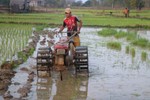 Nông dân Lào chật vật do thiếu nhiên liệu canh tác