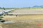 Gỡ “nút thắt” trong chuyển mục đích sử dụng đất làm muối ở Lộc Hà
