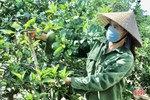 Trang bị kỹ năng sản xuất nông nghiệp hữu cơ cho nông dân Vũ Quang