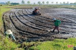 Lộc Hà gấp rút phủ kín 2.690 ha lúa vụ hè thu trước ngày 15/6
