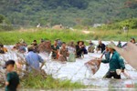 Độc đáo lễ hội đánh bắt cá ở Hà Tĩnh