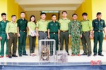 Bàn giao 2 cá thể khỉ mốc và tê tê cho Vườn quốc gia Vũ Quang