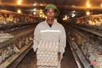 Xem quy trình nuôi gà đẻ trứng Omega 3 ở Hà Tĩnh