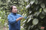 Gỡ “nút thắt”, tạo động lực mới giúp phụ nữ Hà Tĩnh phát triển kinh tế hộ