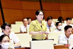 Đoàn ĐBQH tỉnh Hà Tĩnh tham gia xây dựng Luật Phòng, chống bạo lực gia đình