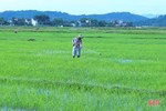 Hà Tĩnh điều tiết nước tưới phục vụ sản xuất lúa hè thu 