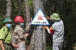 Hà Tĩnh chỉ đạo tăng cường phòng cháy, chữa cháy rừng