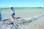 Thiếu nước cục bộ, nông dân Hà Tĩnh xoay đủ đường chống hạn cho lúa
