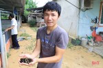 Làm nhà nuôi ốc bươu, thanh niên phố núi Hương Sơn thu lãi cao