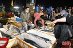 Ngư dân Hà Tĩnh vượt khó, đánh bắt gần 18.000 tấn hải sản