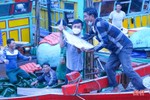 Giá xăng dầu giảm, ngư dân Hà Tĩnh phấn khởi ra khơi