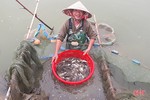 Sản lượng thủy sản nước ngọt ở Hà Tĩnh đạt trên 6.800 tấn/năm