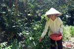 Thăm Mẹ Việt Nam anh hùng tròn 100 tuổi ở Hương Khê