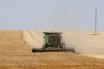 Phản ứng của quốc tế về thỏa thuận xuất khẩu ngũ cốc giữa Nga-Ukraine