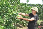 Tín dụng nông nghiệp, nông thôn ở Hà Tĩnh chiếm khoảng 57% tổng dư nợ