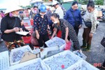 Ngư dân Hà Tĩnh tích cực vươn khơi, hoạt động mua bán hải sản sôi động trở lại
