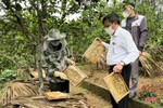 Mùa mật của người nuôi ong ở Vũ Quang