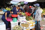 Nhộn nhịp thị trường Rằm tháng bảy ở Hà Tĩnh