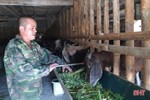 “Cú hích” giúp người dân miền núi Hà Tĩnh mạnh dạn tăng đàn dê