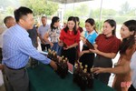 Ra mắt mô hình tổ hợp tác điểm đầu tiên ở huyện Hương Sơn