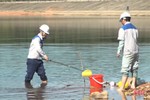 Nhanh chóng tìm nguyên nhân cá chết ở hồ Bộc Nguyên