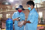 Các trại nái gia tăng sản xuất con giống phục vụ thị trường cuối năm ở Hà Tĩnh