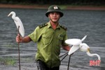 Hà Tĩnh: Ráo riết vào cuộc ngăn nạn đánh bắt chim mùa di cư