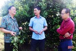 Người dân Vũ Quang được tiếp cận kỹ thuật trồng, chăm sóc Mắc ca