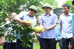 Đưa 4 xã còn lại của Hương Khê đạt chuẩn nông thôn mới trong năm 2022
