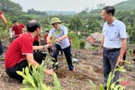 SeABank trao tặng gần 154.000 cây keo giống cho huyện Hương Sơn
