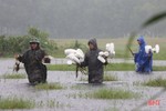 Công an Cẩm Xuyên “đội mưa” ra quân xử lý nạn săn bắt chim trời