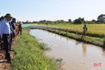 Nuôi cá trong ruộng lúa hữu cơ cho hiệu quả kinh tế cao ở Cẩm Xuyên