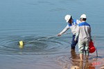 Công bố nguyên nhân cá chết ở hồ Bộc Nguyên