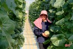 Lan tỏa phong trào nông dân sản xuất, kinh doanh giỏi ở Nghi Xuân