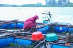 Người nuôi trồng thủy sản Hà Tĩnh gia cố lồng bè, ao nuôi phòng mưa to bão lớn