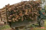 Xử phạt 15 triệu đồng tài xế xe tải vận chuyển gỗ trái phép ở Hương Khê