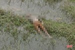 Hà Tĩnh: Phát hiện thi thể một người đàn ông ở giữa cánh đồng