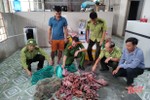 Thu giữ 260 cá thể chim trời tại một cơ sở kinh doanh ăn uống ở Lộc Hà