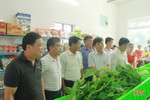 Nghi Xuân khai trương cửa hàng thực phẩm sạch thứ 5