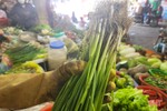 Giá hành lá tại các chợ Hà Tĩnh cao nhất từ trước đến nay, 70.000 đồng/kg