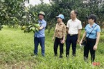 Mục sở thị HTX nông nghiệp đạt chuẩn hữu cơ đầu tiên ở Hà Tĩnh