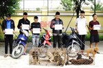 Hà Tĩnh: Bắt ổ nhóm trộm chó liên huyện, chuyên “hành nghề” lúc nửa đêm