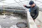 2 sản phẩm chủ lực trong nuôi trồng thủy sản ở Lộc Hà