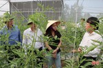Cẩm Xuyên trao đổi kinh nghiệm phát triển nông nghiệp đô thị của TP Hà Tĩnh
