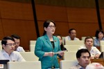Đại biểu Quốc hội Hà Tĩnh: Cần quy định cụ thể tiêu chí biển số đưa ra đấu giá