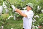Trồng ổi, nuôi gà, lão nông ở Hương Sơn thu trên 400 triệu đồng/năm
