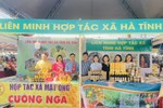 HTX Hà Tĩnh tham gia hội chợ thương mại miền Trung - Tây Nguyên và miền Nam