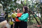 Hiệu quả từ chính sách hỗ trợ phát triển nông nghiệp, nông thôn ở Hà Tĩnh