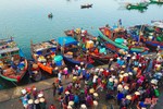 98 tàu cá Hà Tĩnh được cấp giấy chứng nhận vệ sinh an toàn thực phẩm