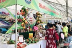 Sản phẩm “made in” Hà Tĩnh tham gia 20 hội chợ thương mại trên cả nước